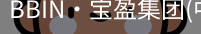 BIN宝盈集团